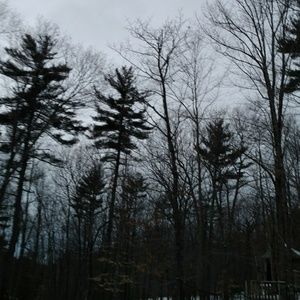 Meet your Posher, Mel